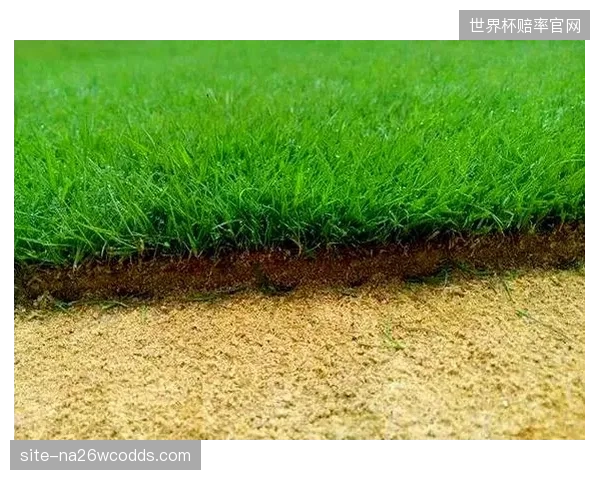 在水资源日益紧张的背景下，坚持使用天然草坪对于某些地区的体育场馆而言是否已成为一种“环境原罪”？